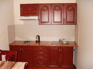Апарт-отели Chernivtsi Apartments Черновцы Апартаменты (для 4 взрослых)-6